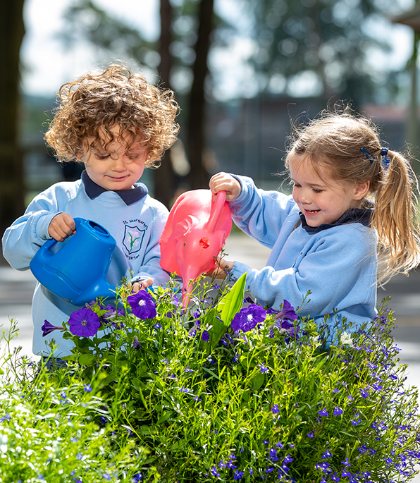 Bluebird Nursery