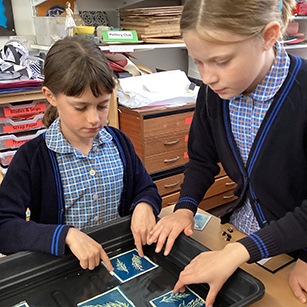 Year 5 Cyanotype workshop with Bloemen and Blue. 
