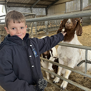 Year 2 'Farm to Fork' visit to the Goat Farm