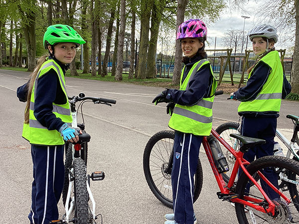 bikes-2.jpg